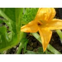 20170519_105205