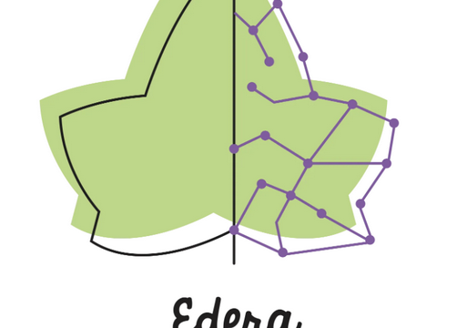 Logo_Edera_resize-e1782830880535