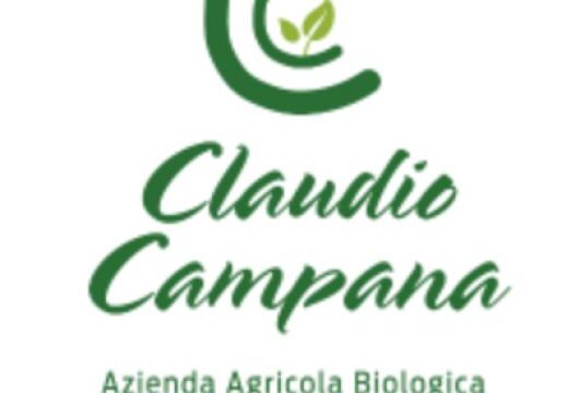 cc