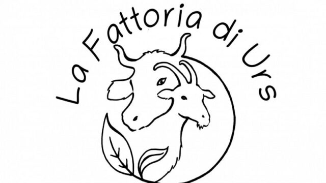 fronte_biglietto_da_visita.svg