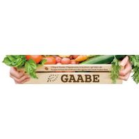 gaabe-logo
