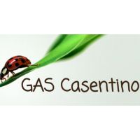 gas-casentino-logo