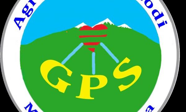 gps-logo