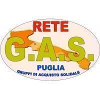 logo-101