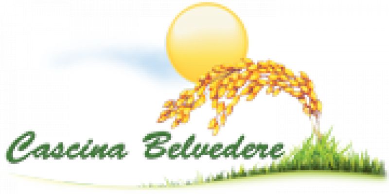 logo-12