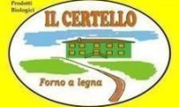 logo-16