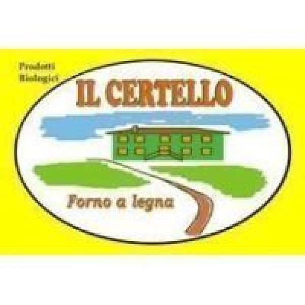 logo-16
