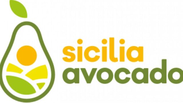 logo-24