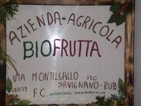 logo-4
