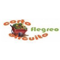 logo-90