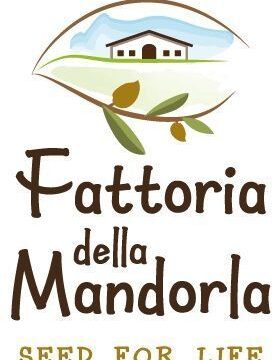 logo-fdm