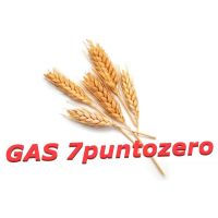 logo_gas-1