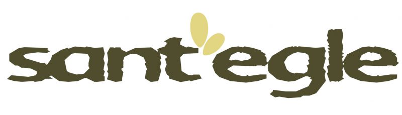 logotrasparentepiccolo