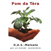 pom-de-tera-logo