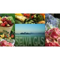 selva-gas-logo
