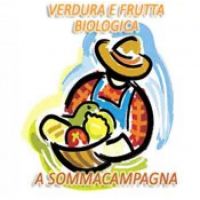 sommagaslogo