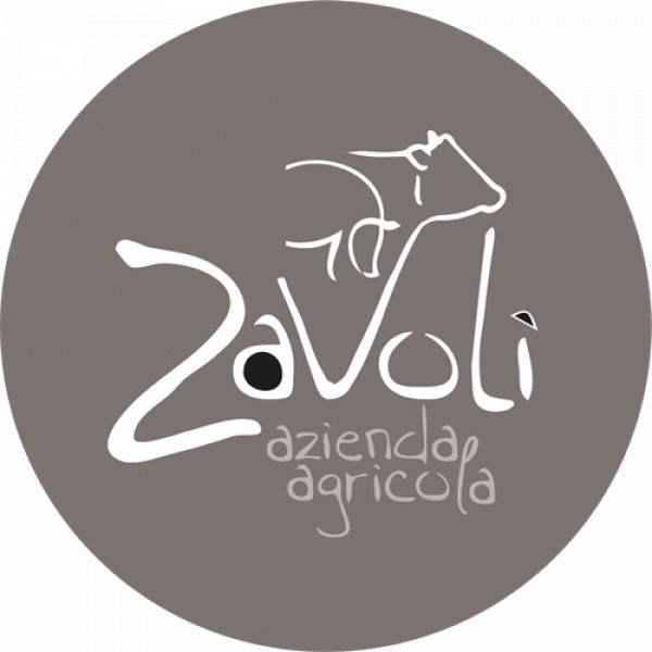 zavoli-logo